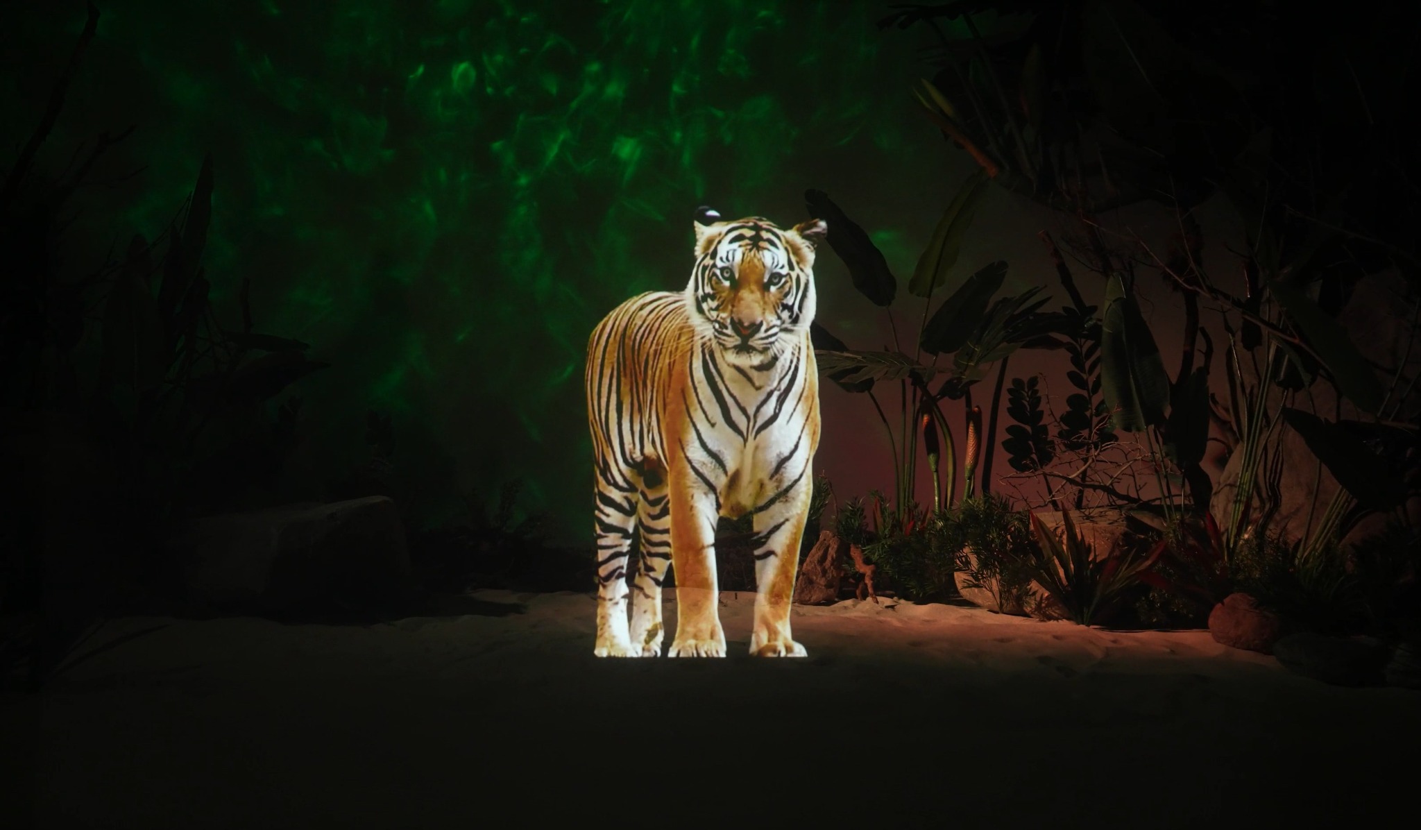 Life-size holographic lion
