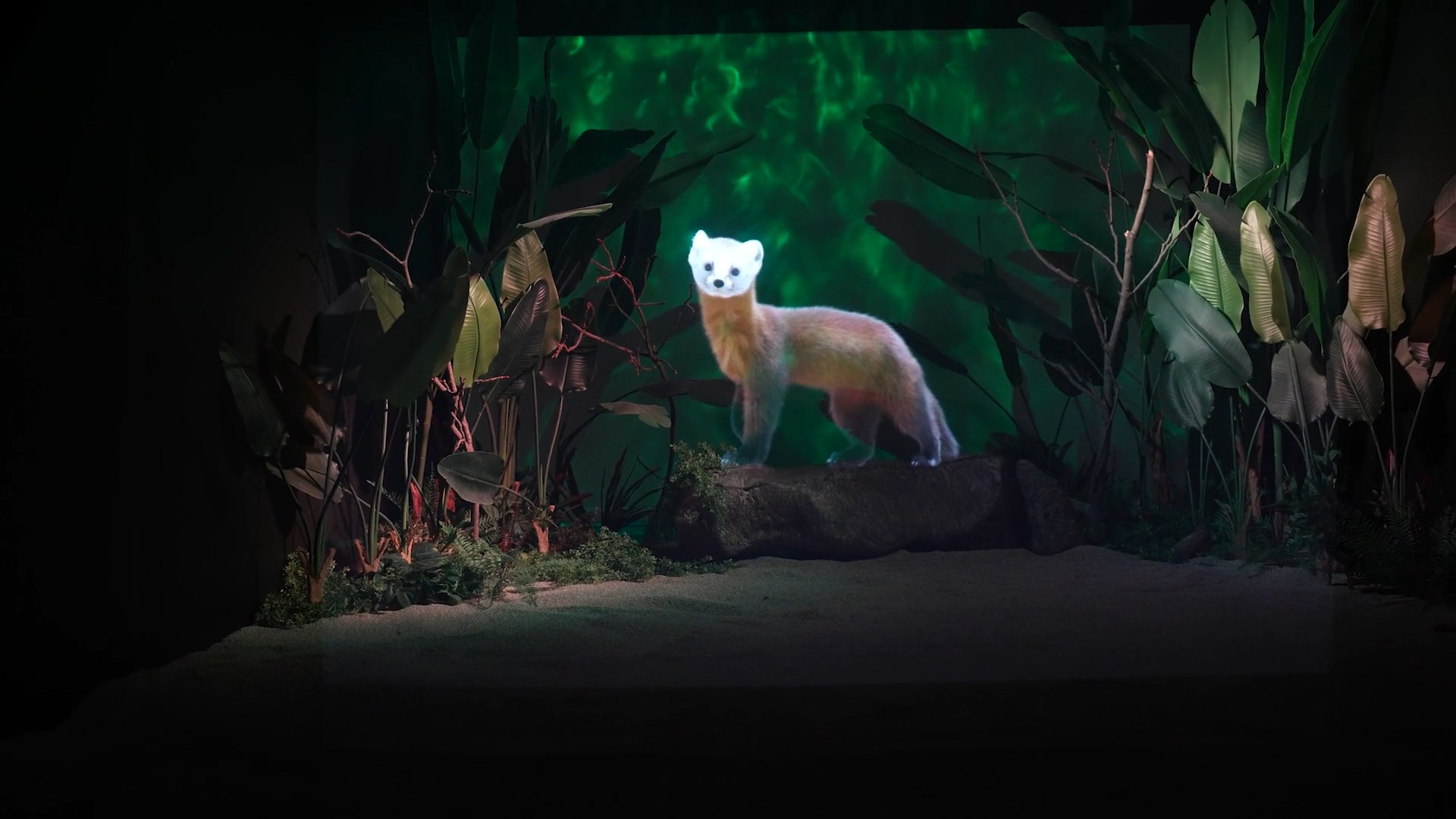 Holographic forest wildlife