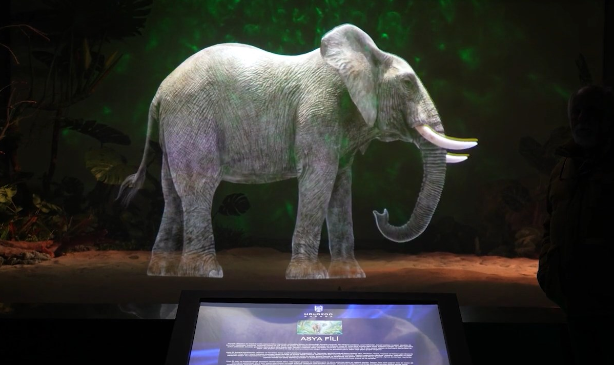 Life-size holographic elephant