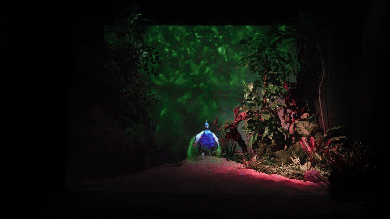 Holographic peacock in real nature