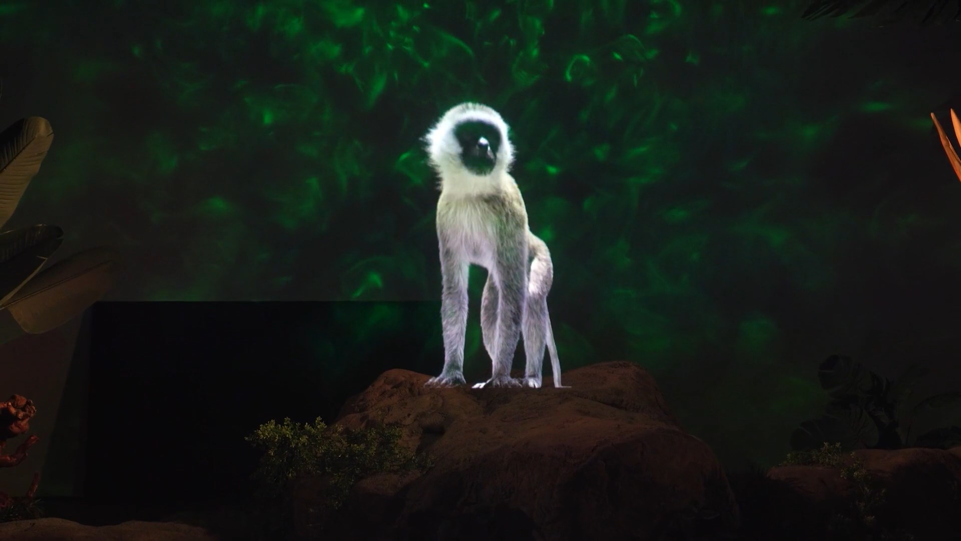 Holographic forest wildlife